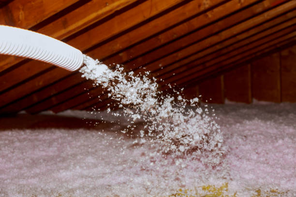 Best Attic Insulation Installation  in Sugarland Run, VA