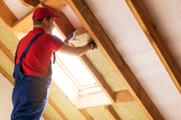 Best Eco-Friendly or Green Insulation Solutions  in Sugarland Run, VA